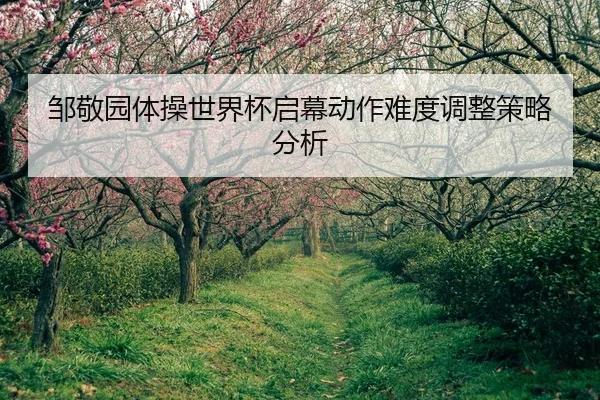 邹敬园体操世界杯启幕动作难度调整策略分析